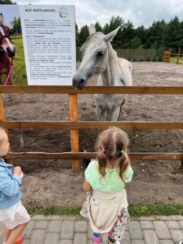 2022.10.16 Pszczolki 15