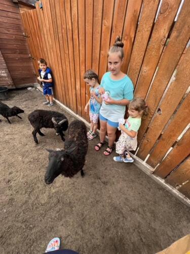 2022.10.16 Pszczolki 18